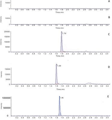 Simultaneous determination of the combined and free concentrations of atorvastatin and its major metabolite in vitro and in vivo based on ultraﬁltration coupled with UPLC-MS/MS method: an application in a protein binding rate and metabolism ability study in uremic hemodialysis patients